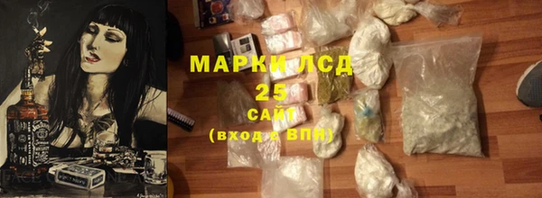 молекула духа Арсеньев