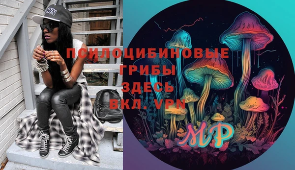 стафф Аркадак