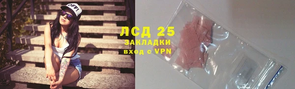 стафф Аркадак