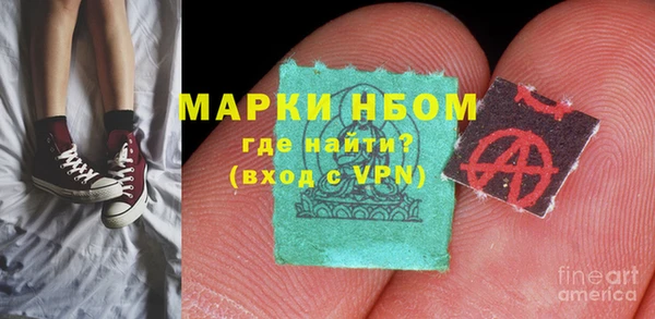 молекула духа Арсеньев