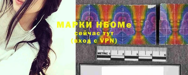 молекула духа Арсеньев
