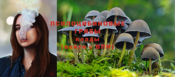 стафф Аркадак