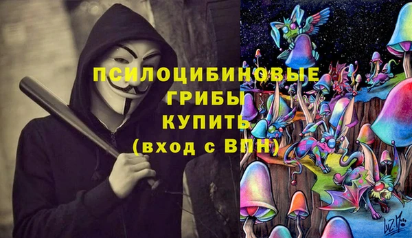 молекула духа Арсеньев
