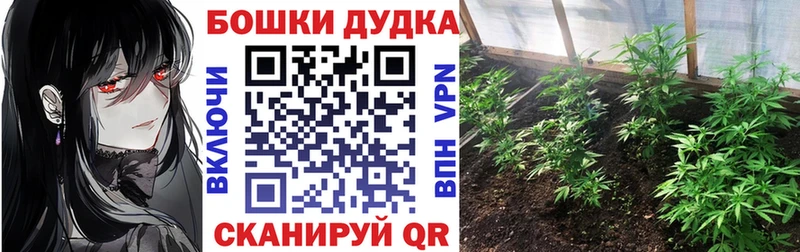 Купить  Асино  МАРИХУАНА SATIVA & INDICA 